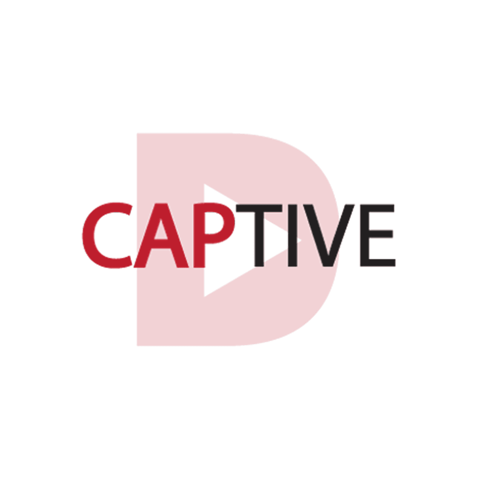 Post-Campaign Media Audit logo